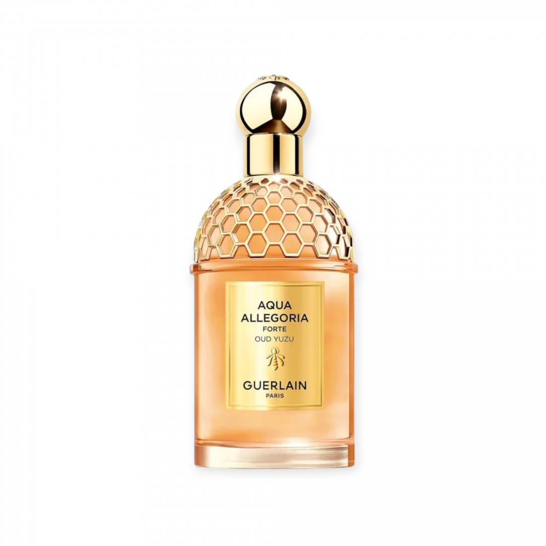 GUERLAIN AQUA ALLEGORIA FORTE OUD YUZU edp vapo 125 ml
