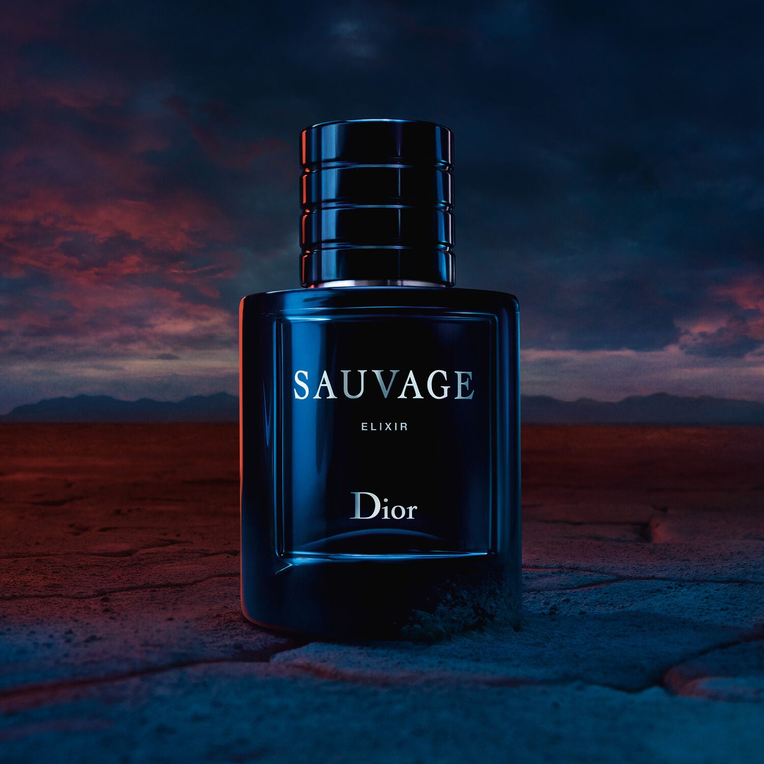 DIOR SAUVAGE elixir de parfum spray 100 ml