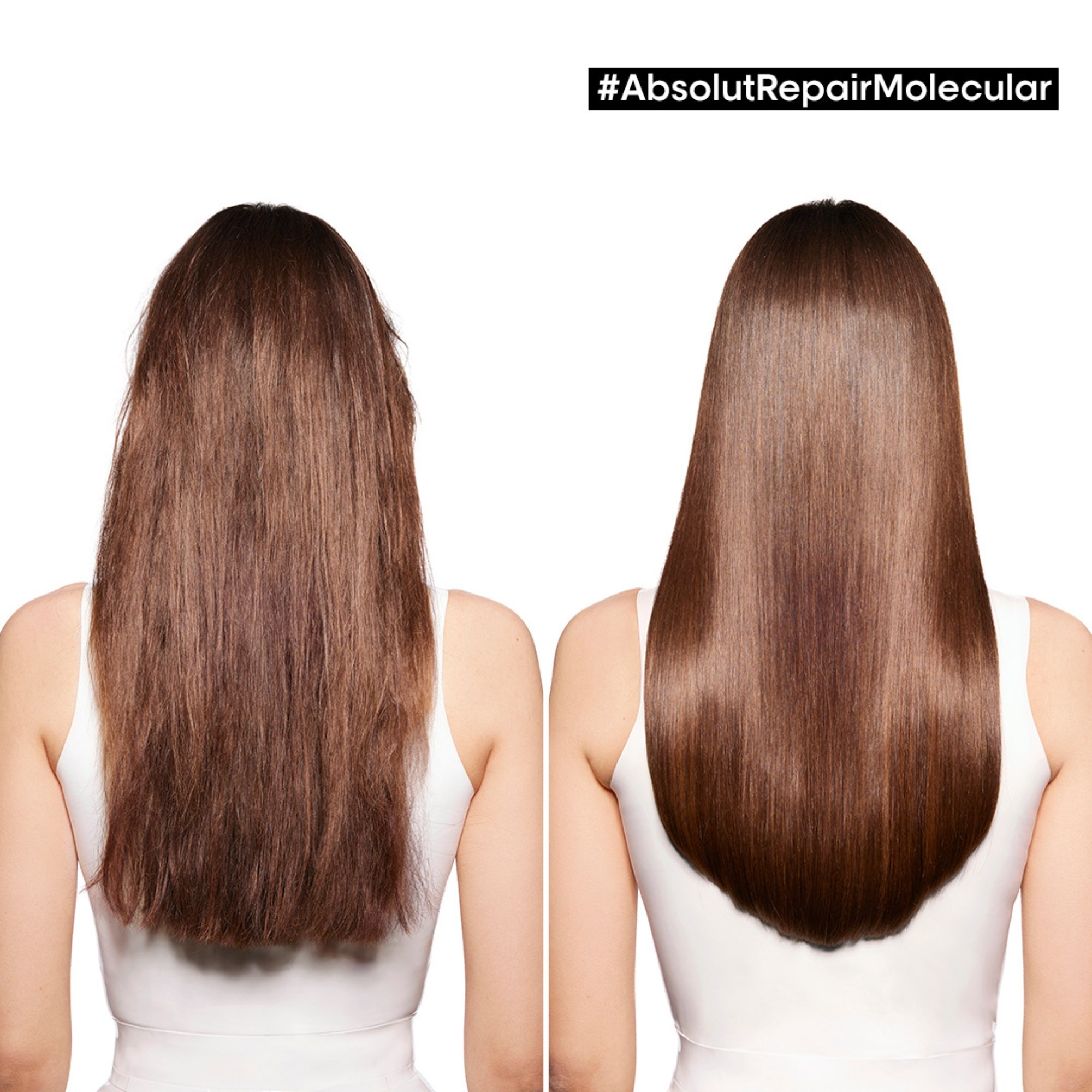 L'ORÉAL PROFESSIONNEL PARIS ABSOLUT REPAIR MOLECULAR professional sulfate-free shampoo for damaged hair 500 ml