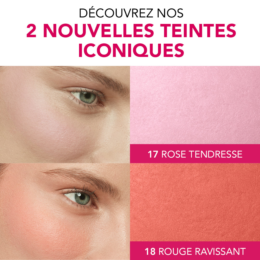 BOURJOIS fard à joues poudre PETIT POT ROND #16-rose coup 2,5 gr