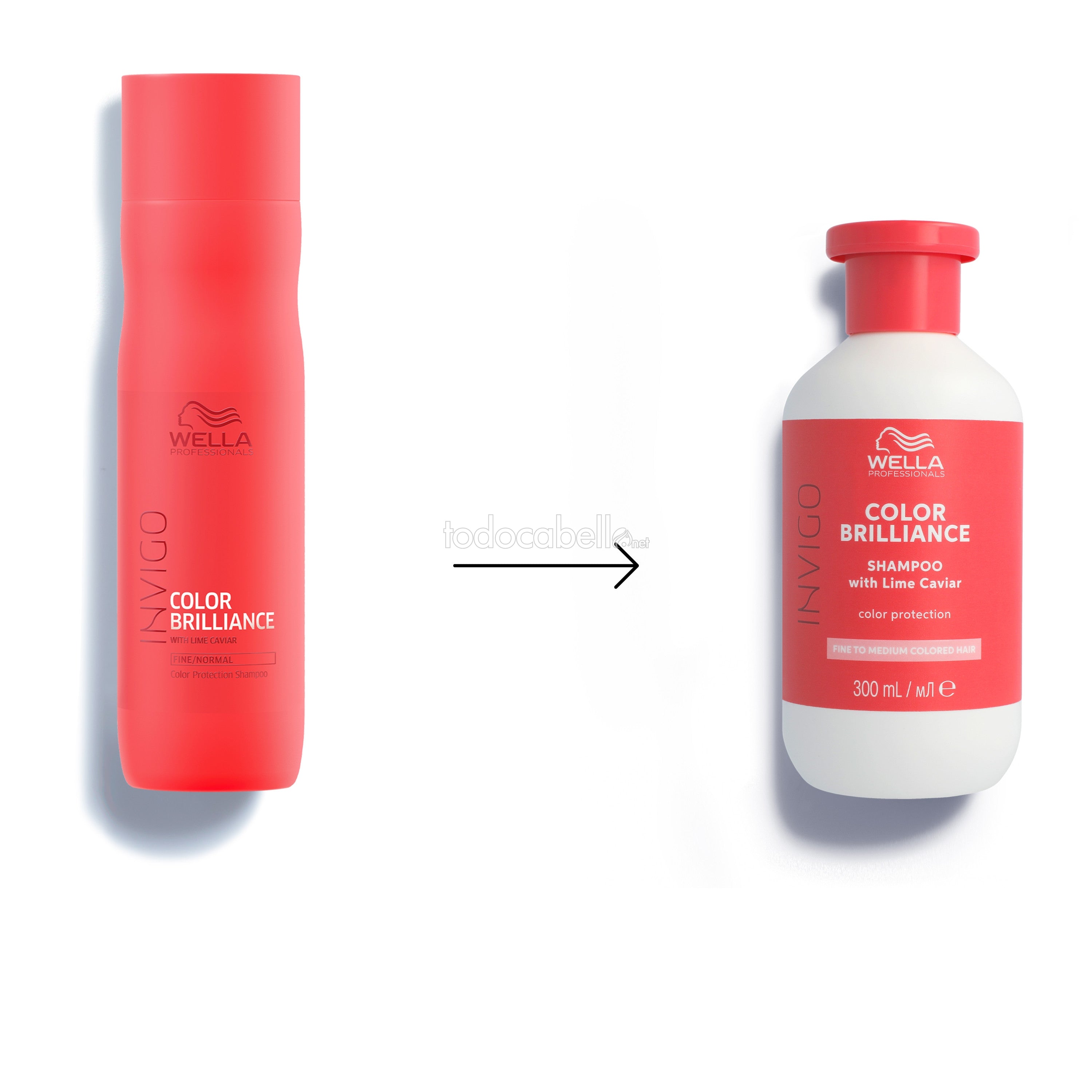 WELLA PROFESSIONALS INVIGO COLOR BRILLIANCE Shampoing Protection Couleur Cheveux Fins ou Normaux 300 ml
