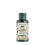 THE BODY SHOP GINGER balsamo 60 ml
