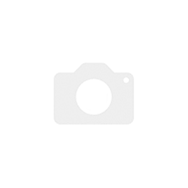 SAPONE KARITÉ THE BODY SHOP 100 g