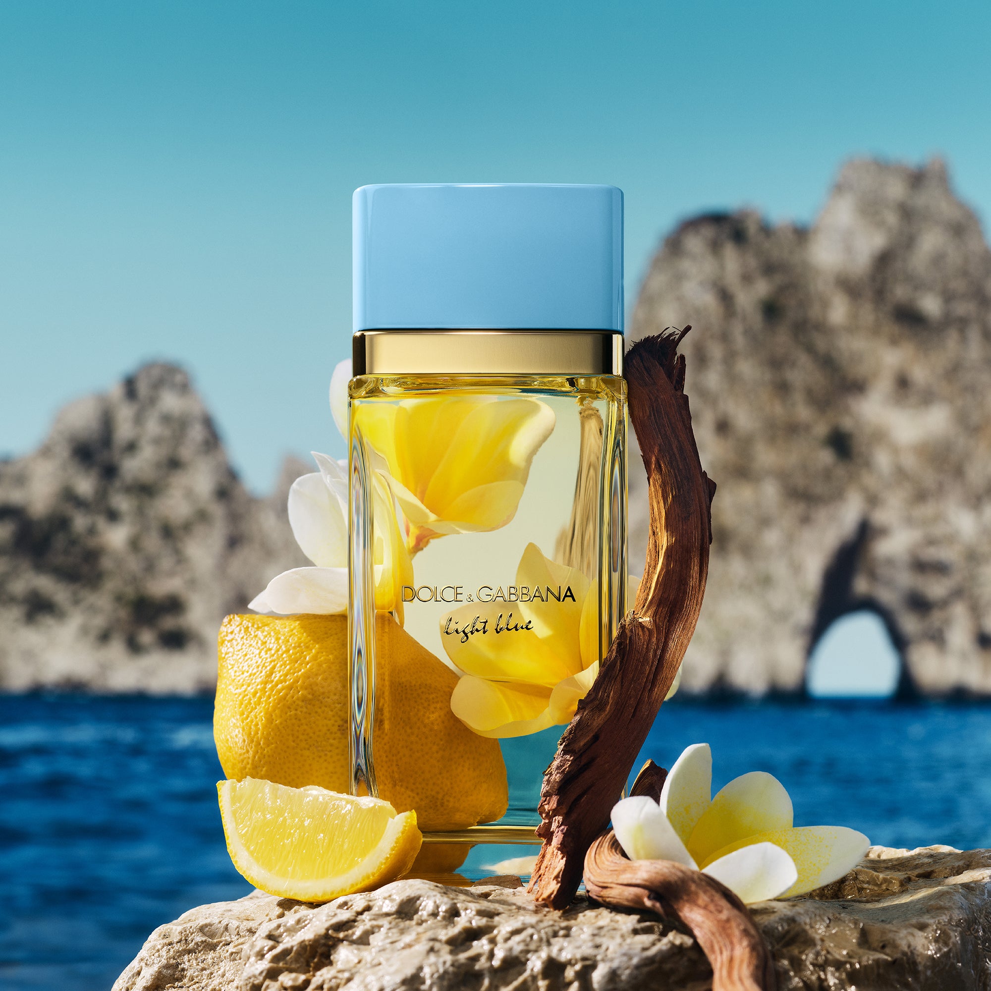 DOLCE & GABBANA LIGHT BLUE edp vapo 100 ml