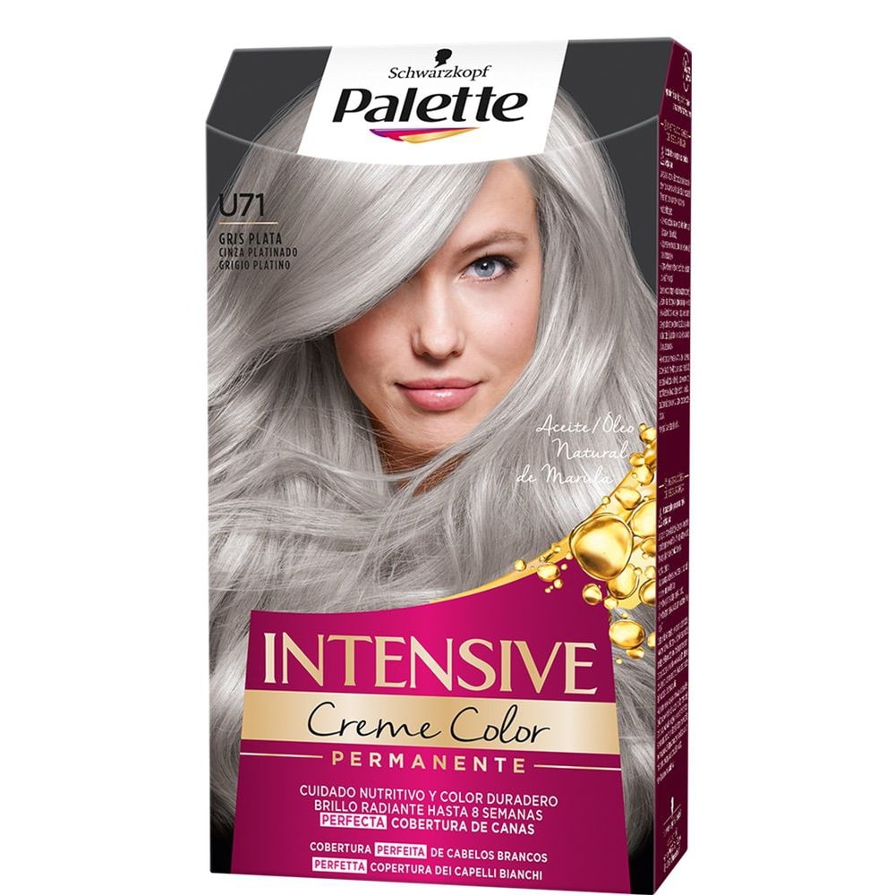 PALETTE INTENSIVE dye #U71-silver gray