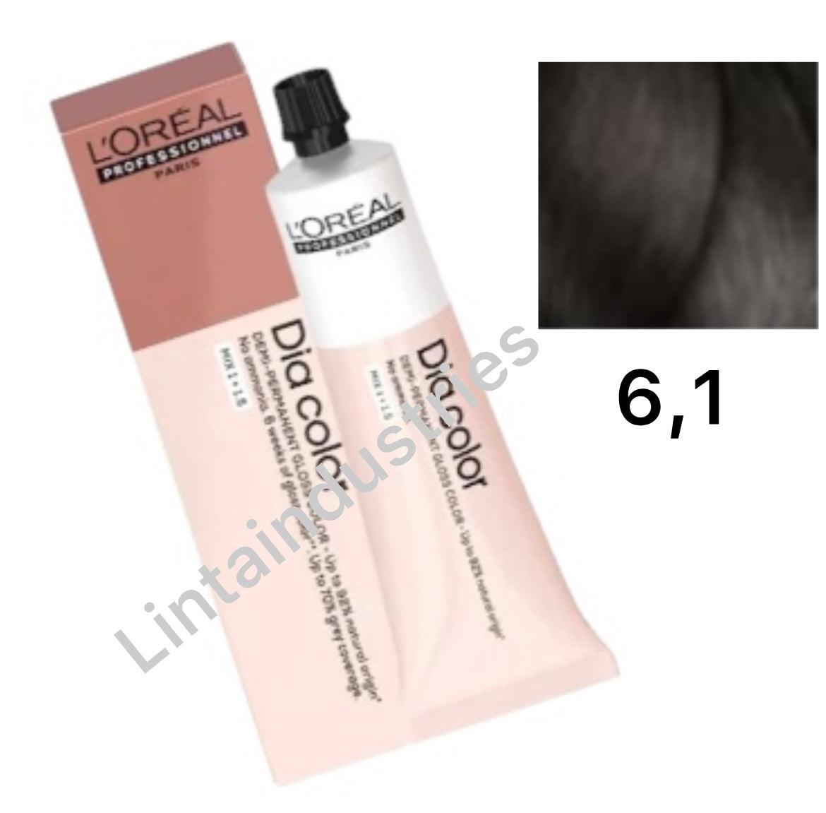 L'ORÉAL PROFESSIONNEL PARIS DIA COLOR demi-permanent coloration without ammonia #6.1 60 ml