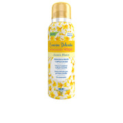 VAGISIL DELICATE ESSENCES intimate deodorant spray 125 ml
