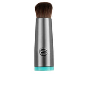 ECOTOOLS INTERCHANGEABLES controlled concelear head 1 u