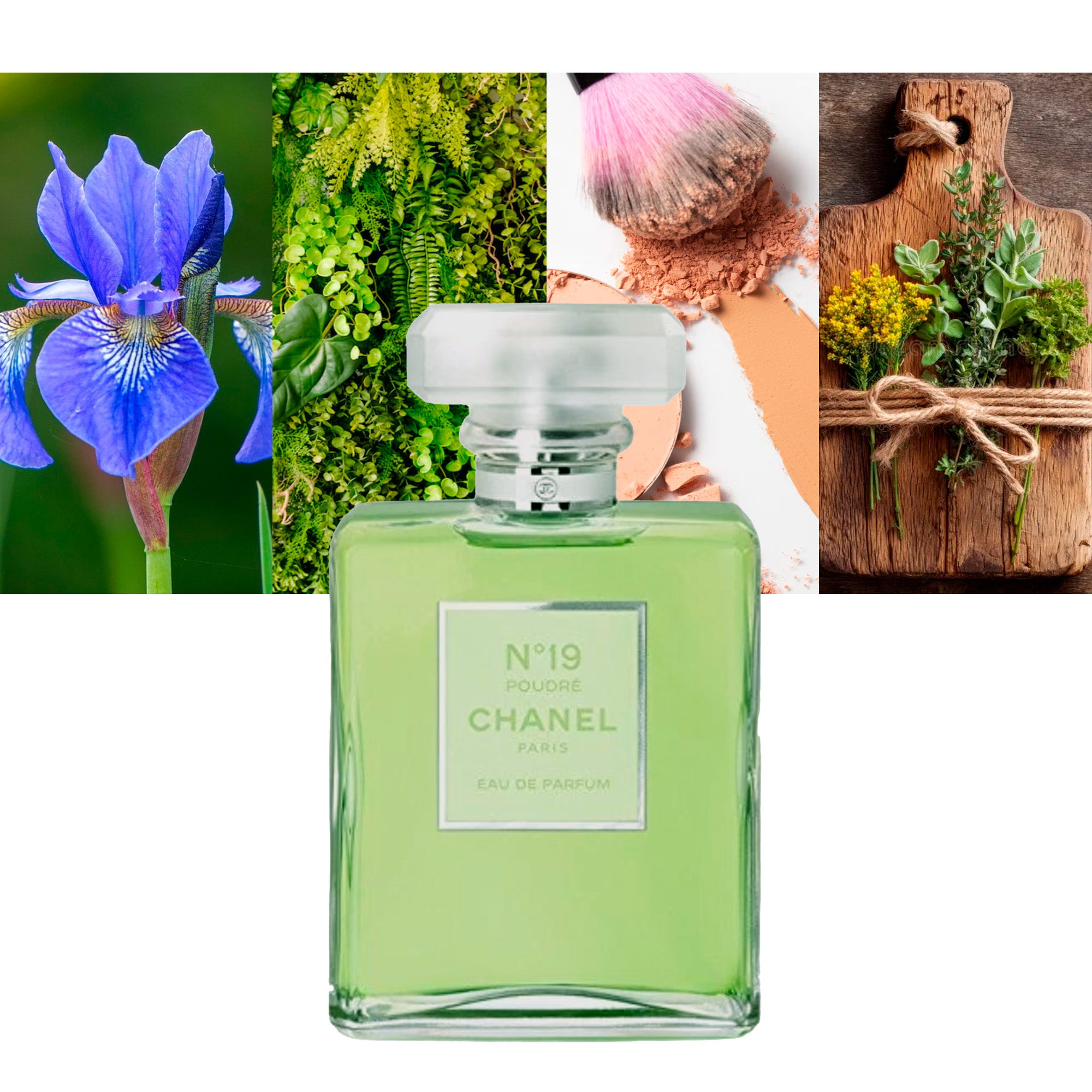 CHANEL N°19 POUDRÉ eau de parfum vapo 100 ml