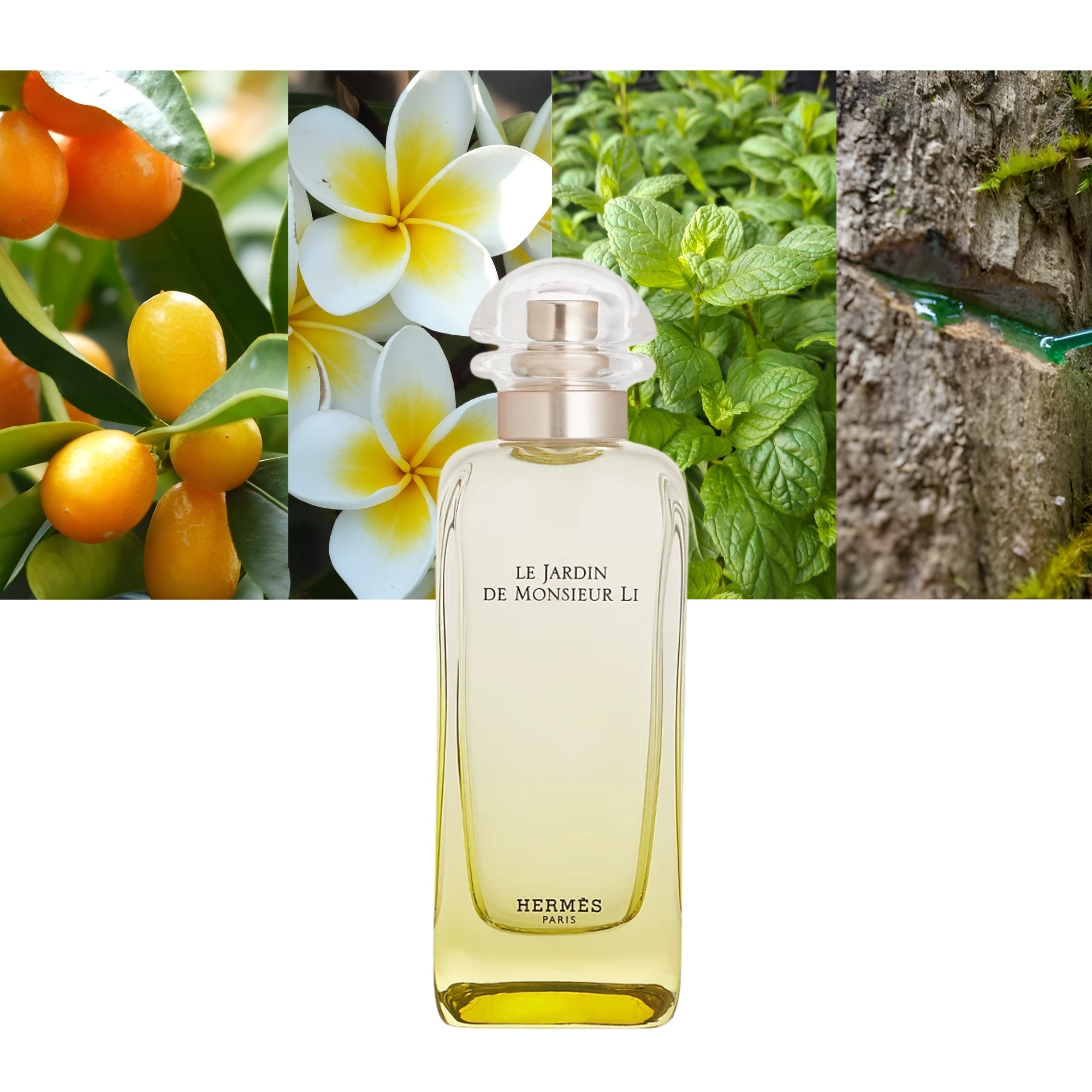 HERMÈS LE JARDIN DE MONSIEUR LI eau de toilette spray 100 ml