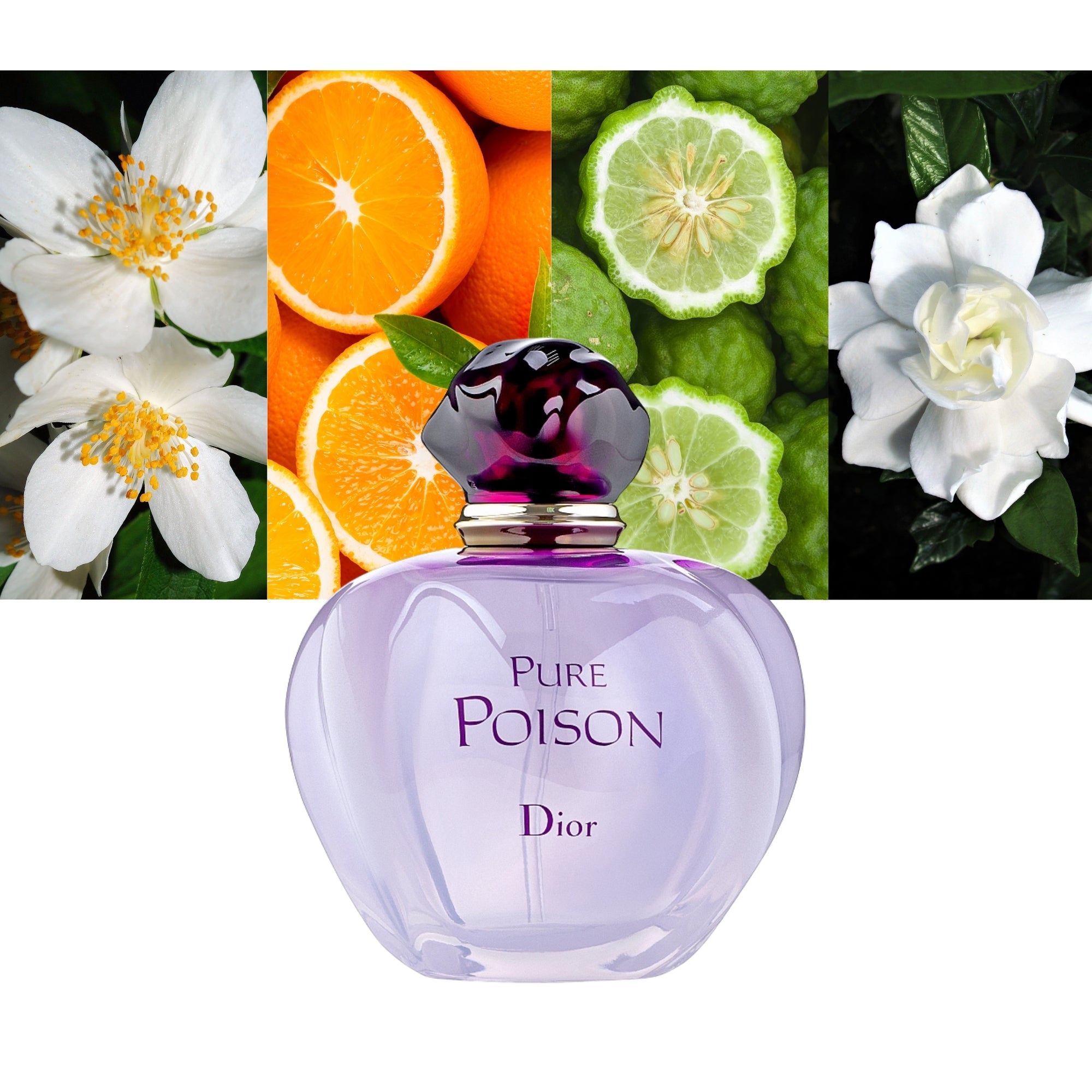 DIOR PURE POISON eau de parfum spray 50 ml