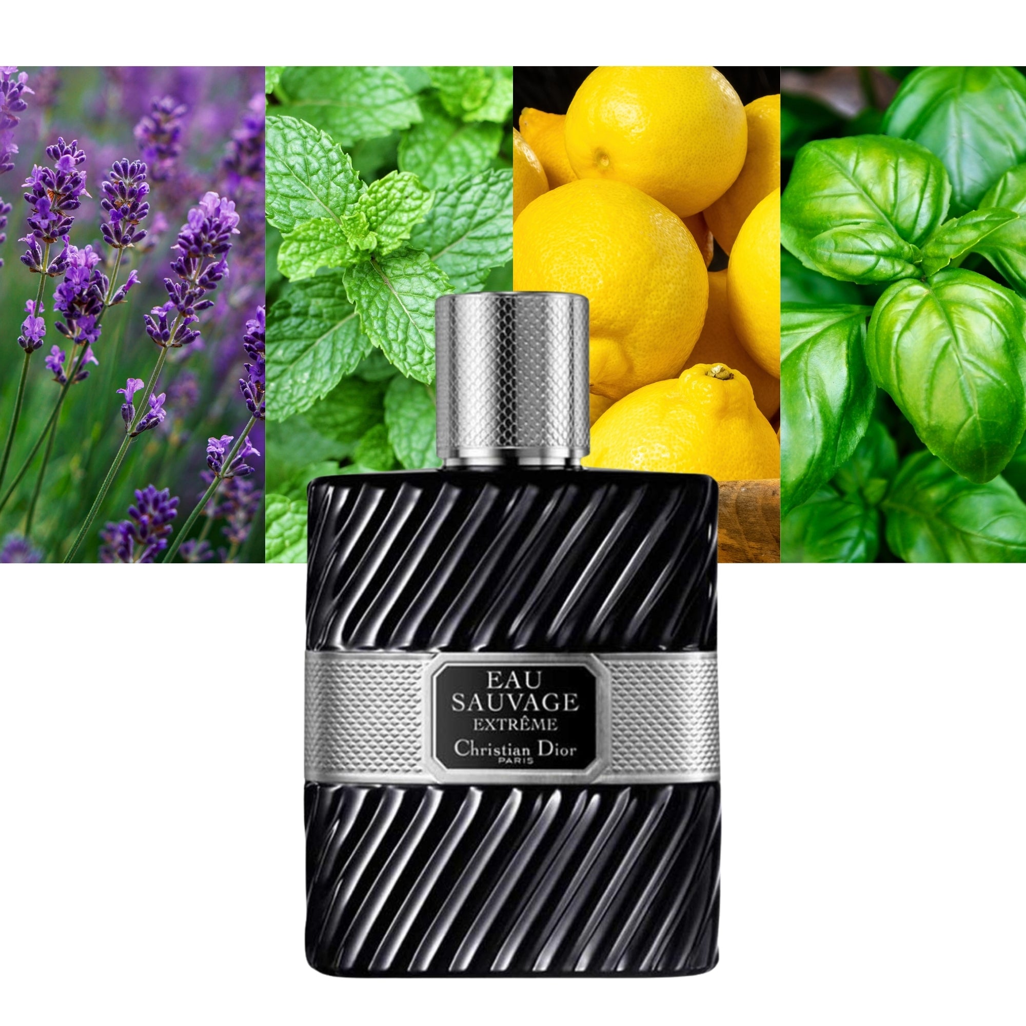 DIOR EAU SAUVAGE EXTREME INTENSE eau de toilette vaporisateur 100 ml