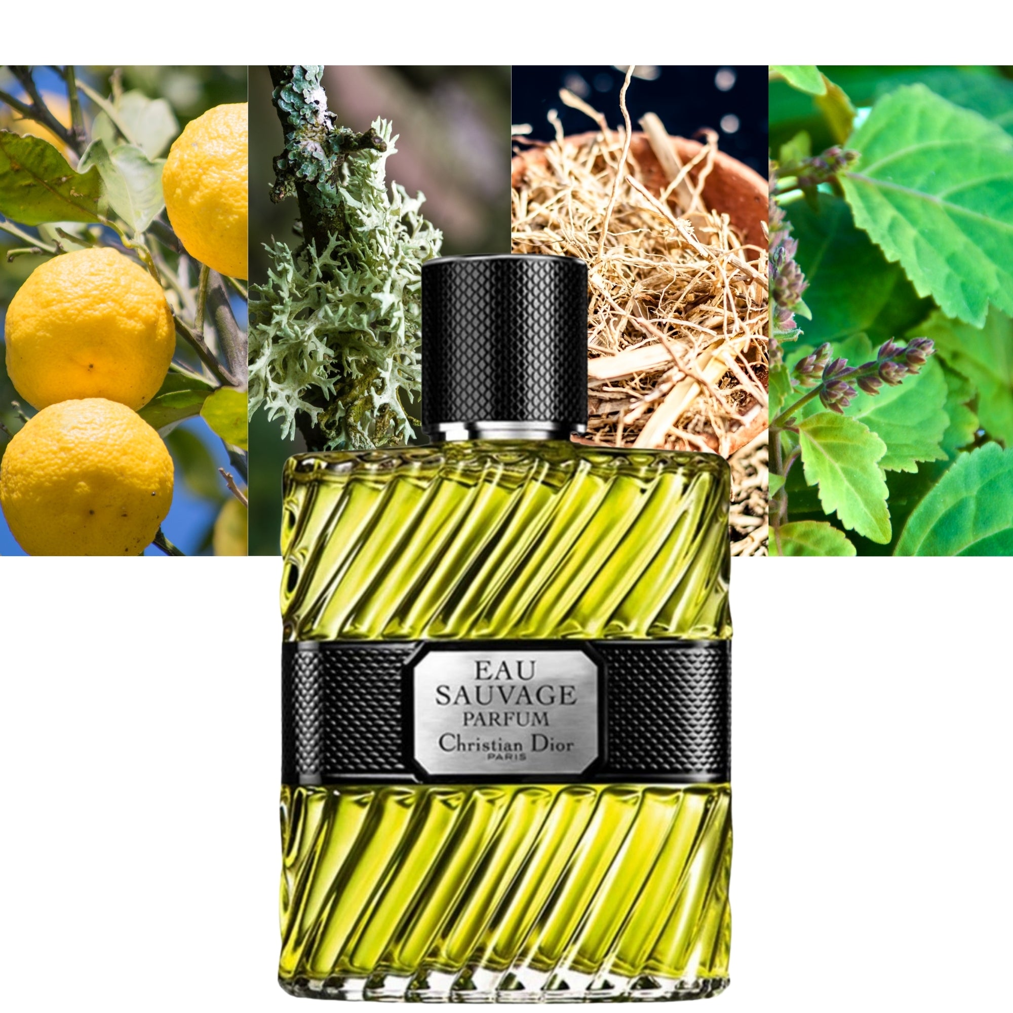 DIOR EAU SAUVAGE PARFUM eau de parfum spray 100 ml