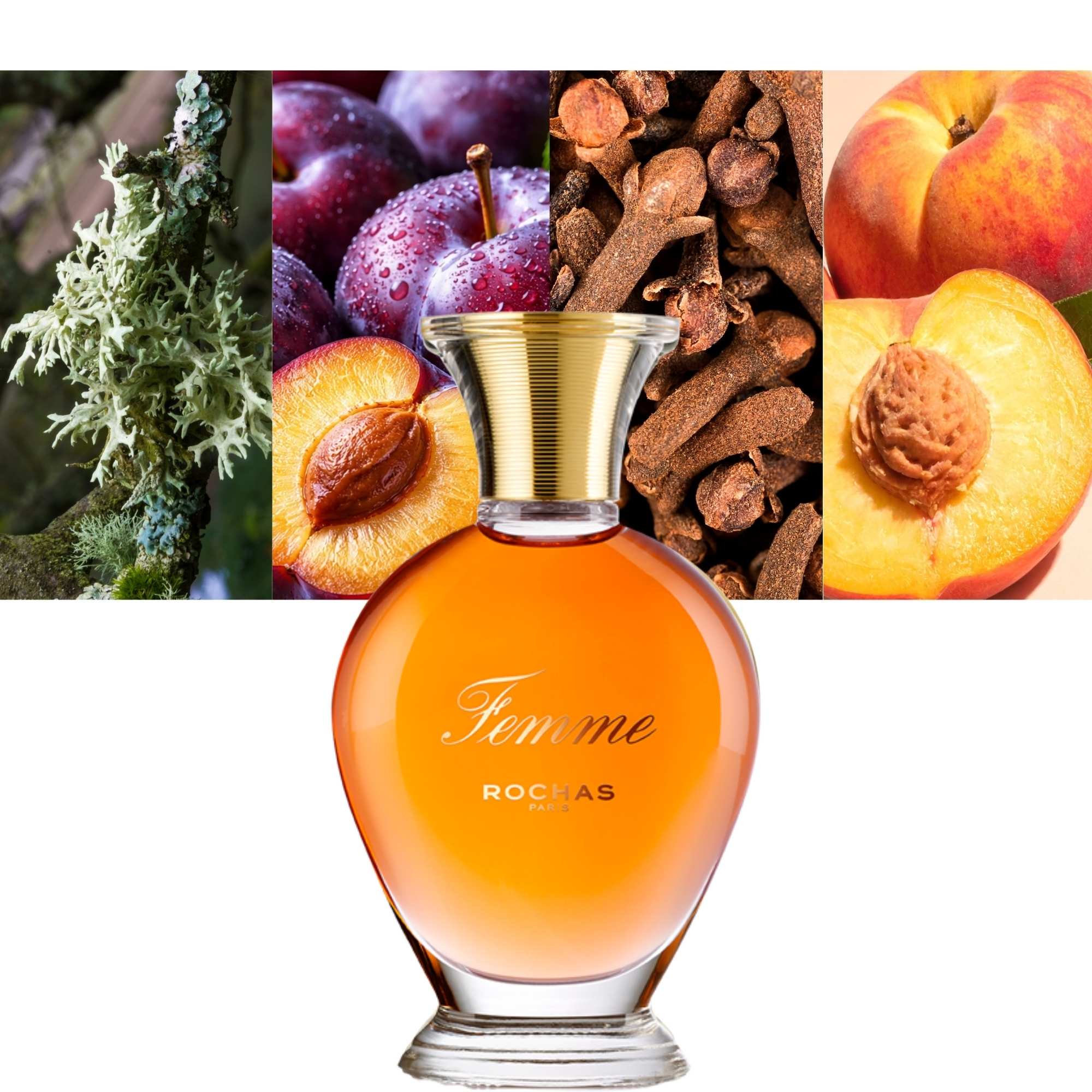 ROCHAS FEMME eau de toilette spray 100 ml