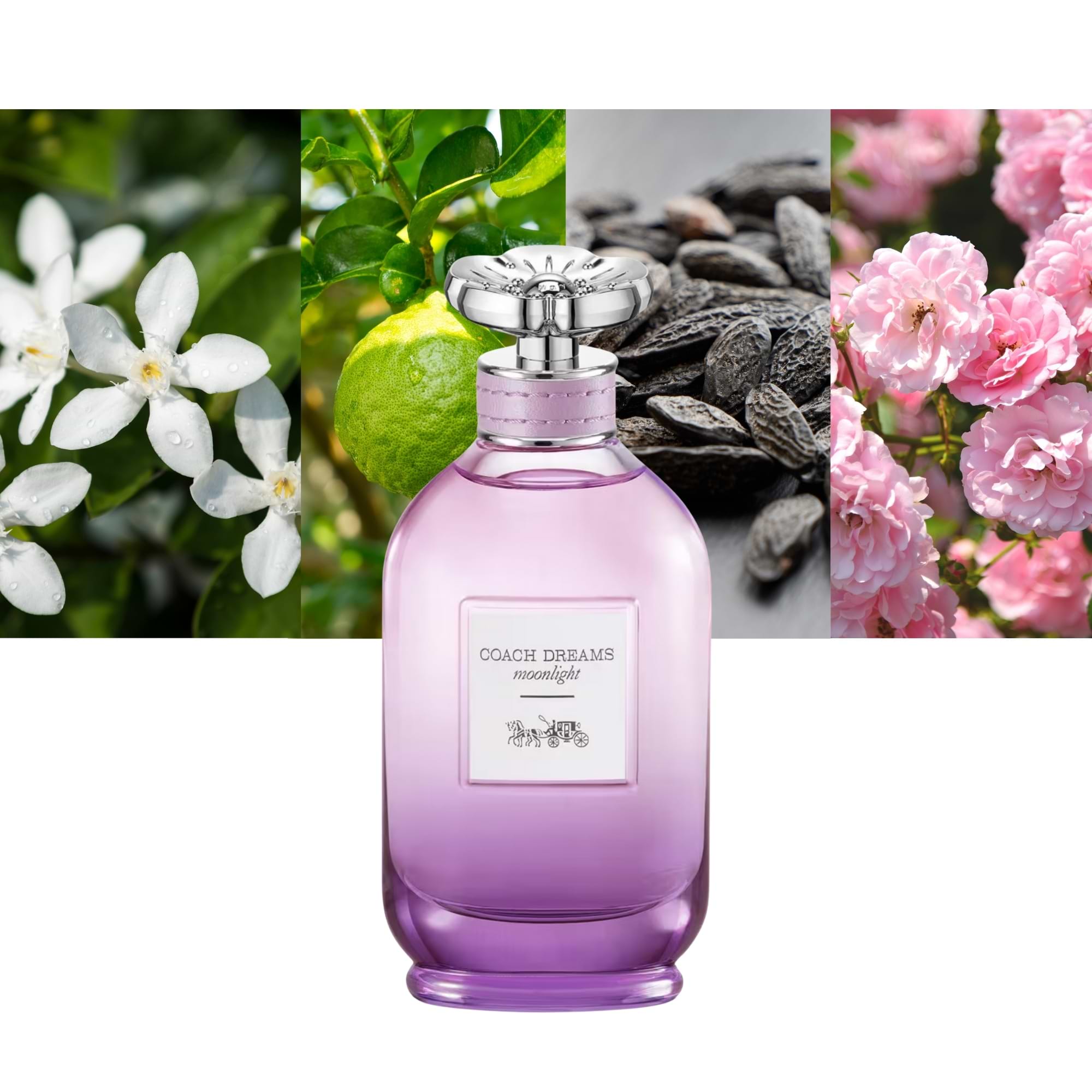COACH DREAMS MOONLIGHT edp vapo 90 ml