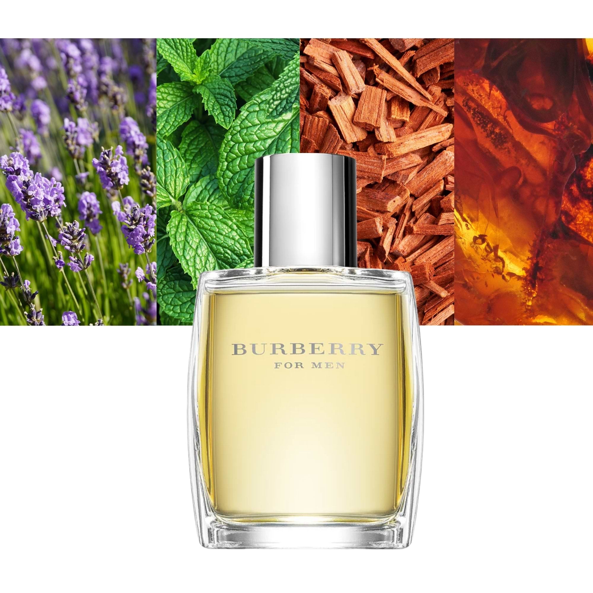 BURBERRY FOR MEN eau de toilette vaporisateur 50 ml