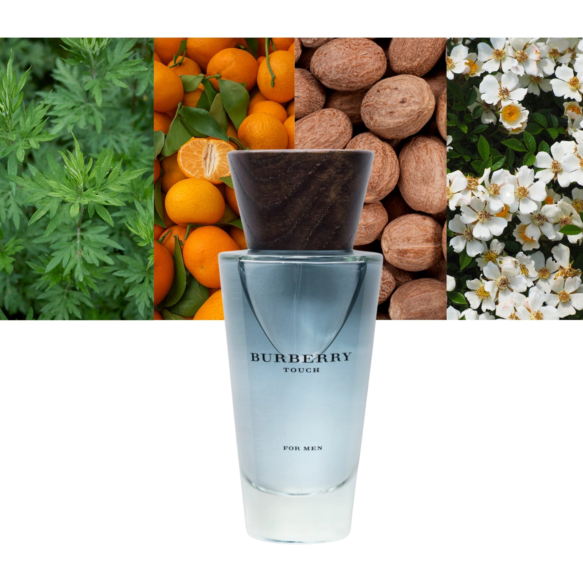 BURBERRY TOUCH FOR MEN eau de toilette spray 100 ml
