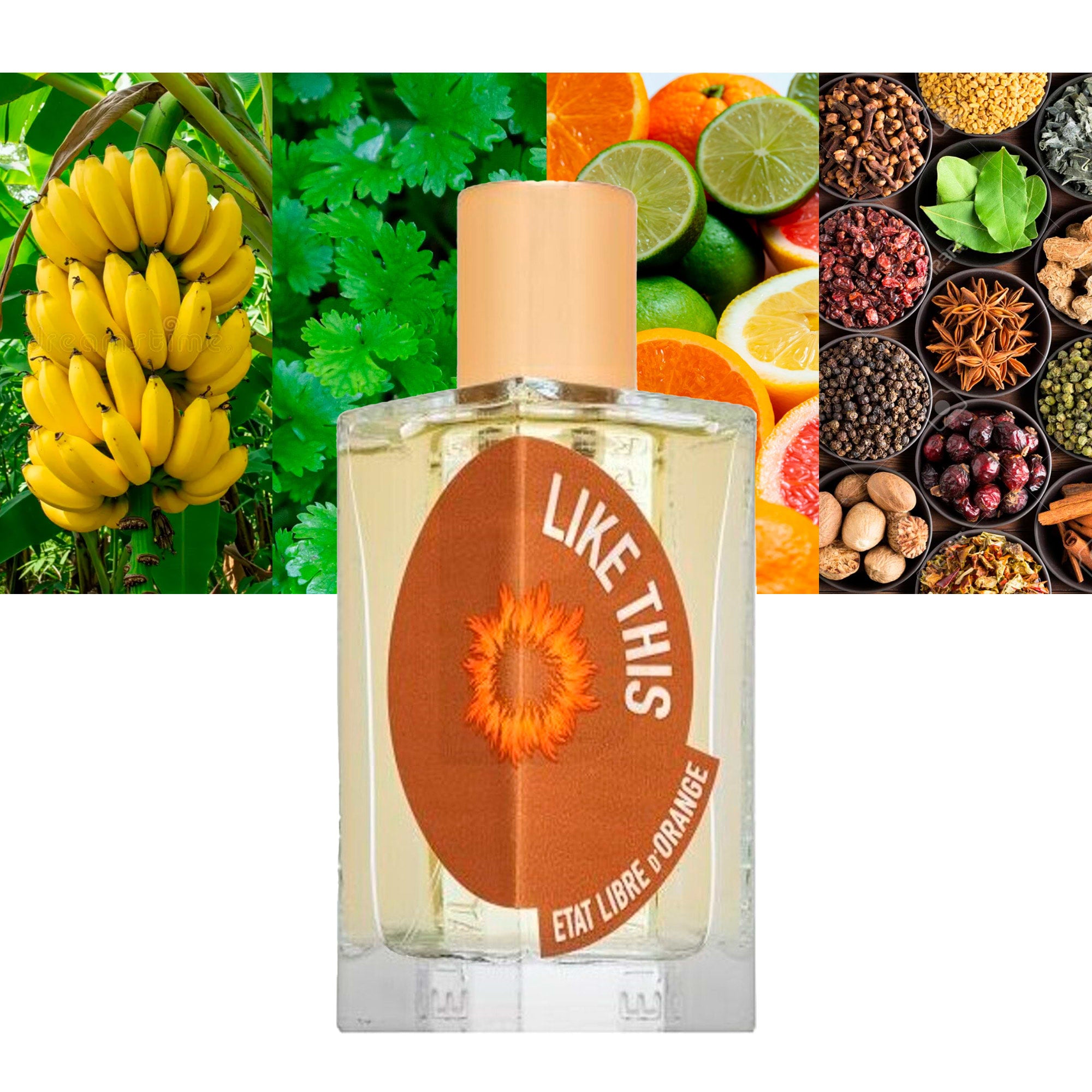 ETAT LIBRE D'ORANGE LIKE THIS - TILDA SWINTON edp vapo 100 ml