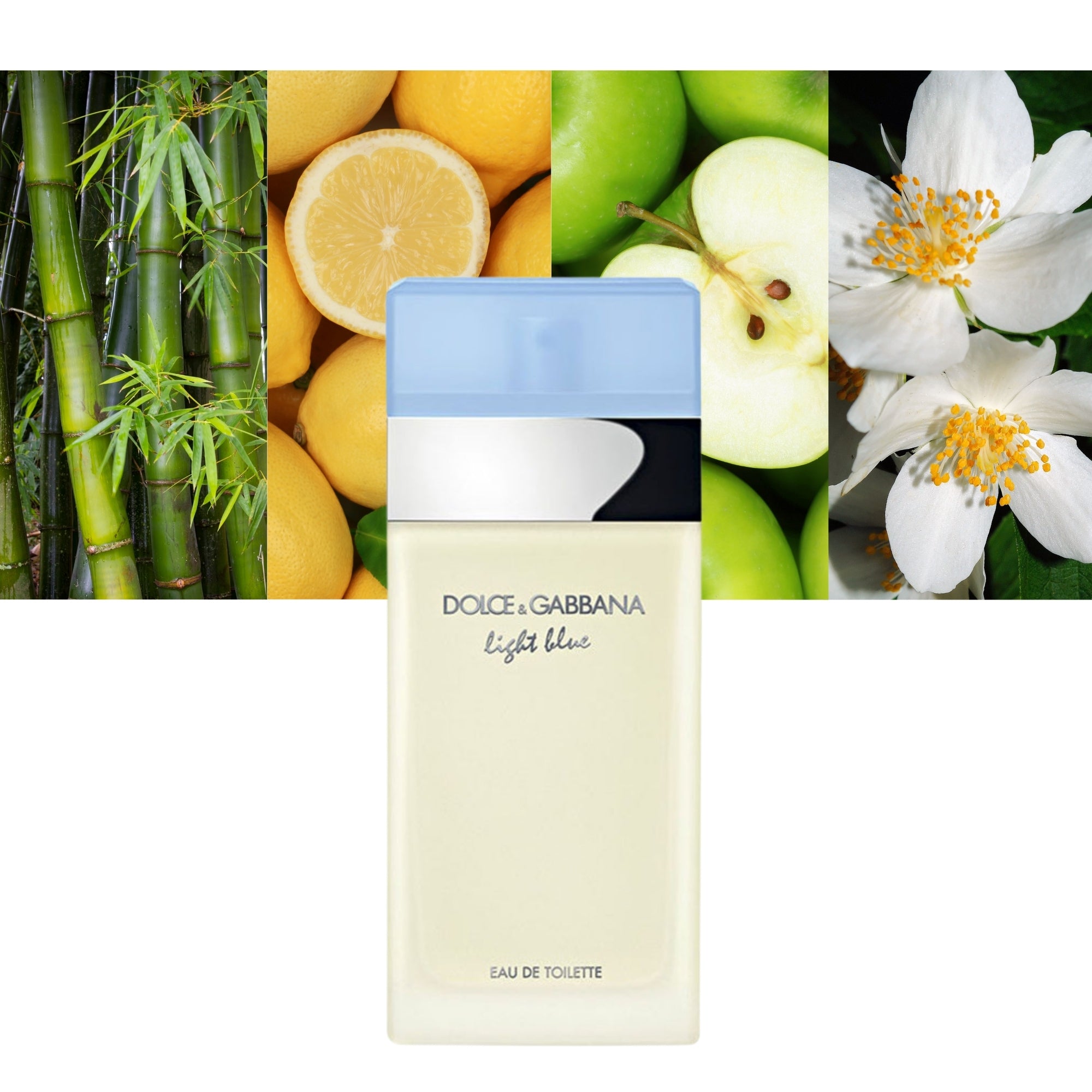 DOLCE & GABBANA LIGHT BLUE POUR FEMME edt vapo 100 ml