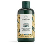 THE BODY SHOP GINGER champú 250 ml