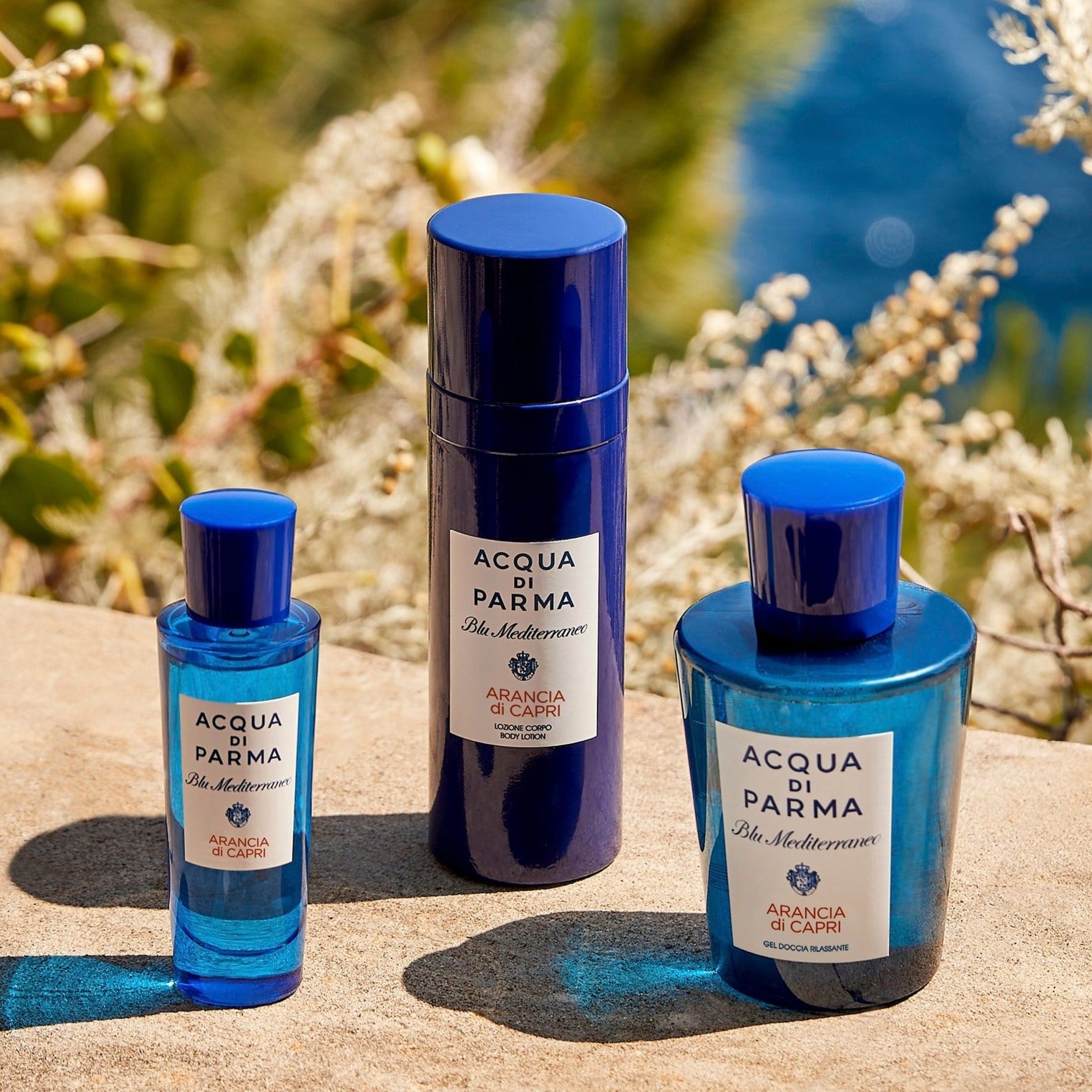 ACQUA DI PARMA BLU MEDITERRANEO ARANCE DI CAPRI body and hand lotion 300 ml