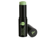 TEAOLOGY MATCHA TEA pore cleansing stick 12 gr