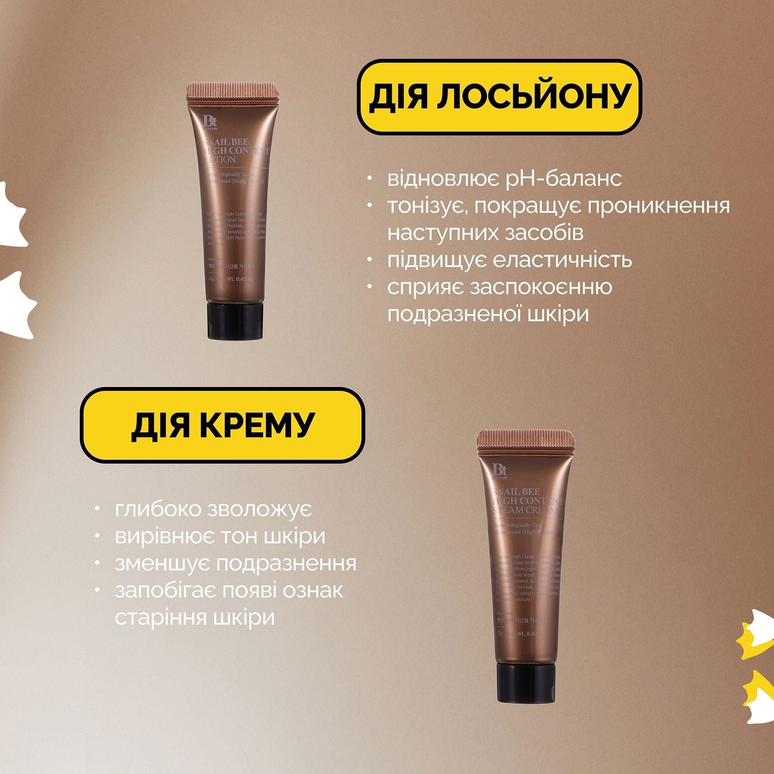BENTON SNAIL BEE HIGH STARTER CASE 4 pcs