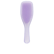 TANGLE TEEZER FINE & FRAGILE detangling hairbrush #Hypnotic Heather 1 u