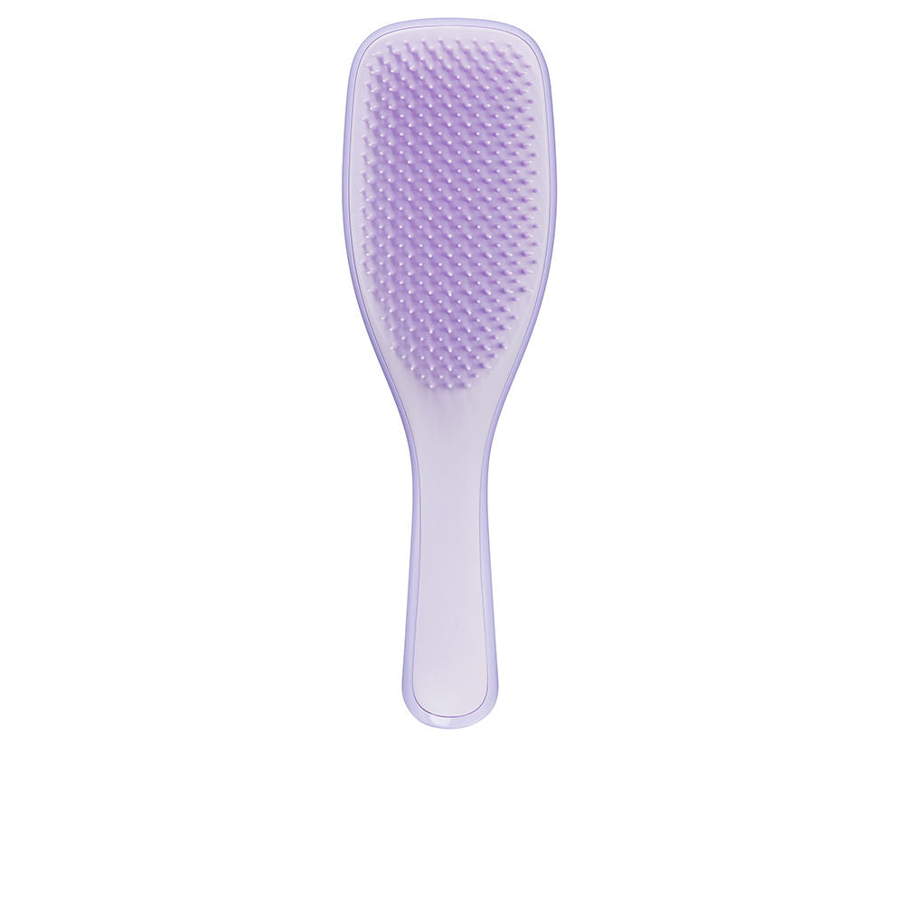 TANGLE TEEZER FINE & FRAGILE detangling hairbrush #Hypnotic Heather 1 u