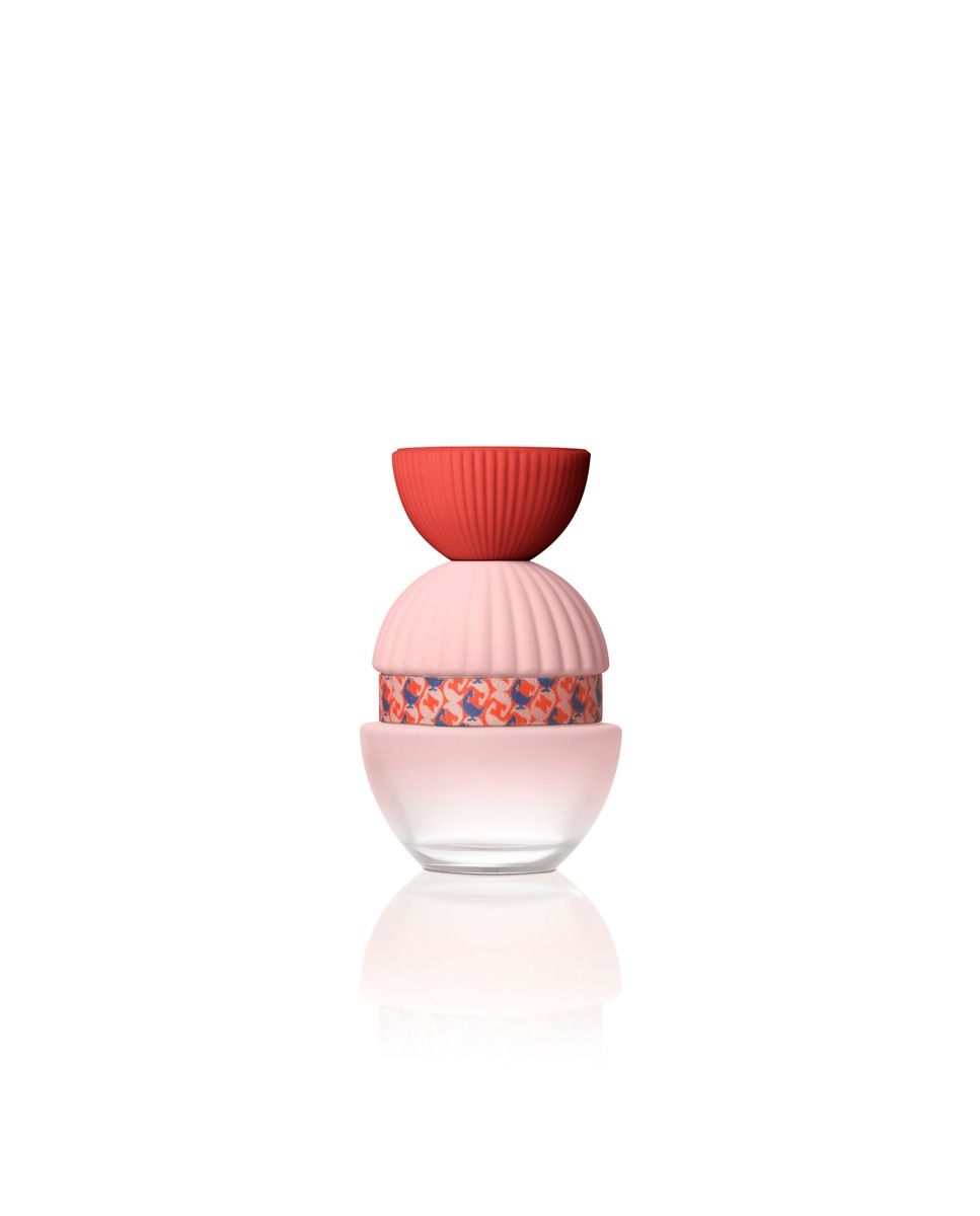 EL GANSO FUN & CHIC edp vapo 100 ml