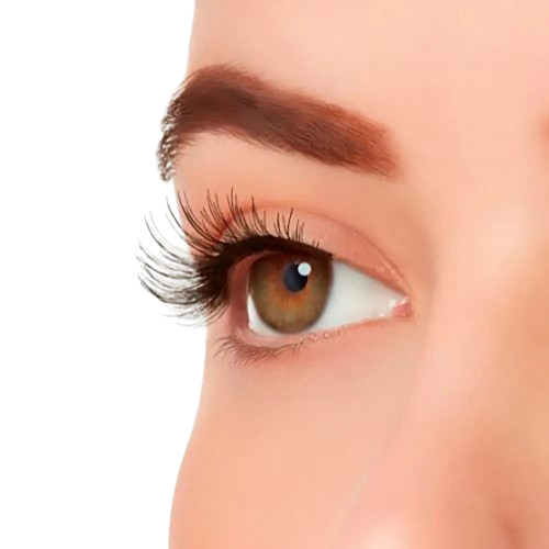 FAUX CILS ARDELL NATURAL #sweeties noir 1 u