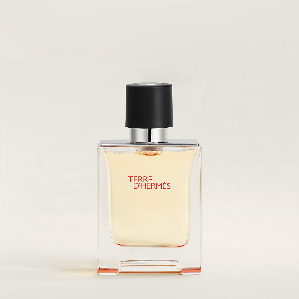 TERRE D'HERMÈS eau de toilette vaporisateur 50 ml